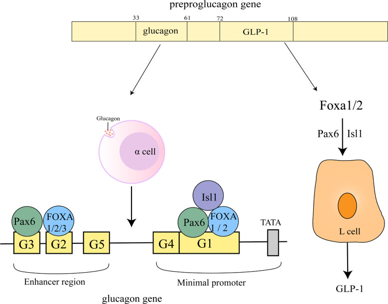 Figure 4