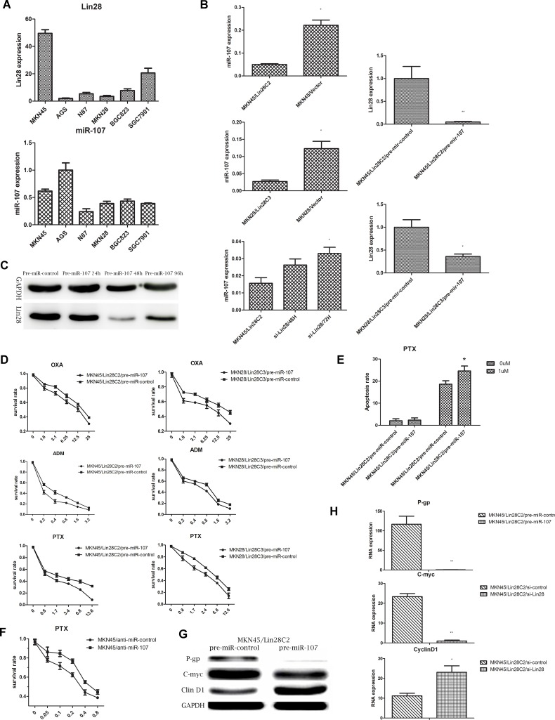 Fig 5