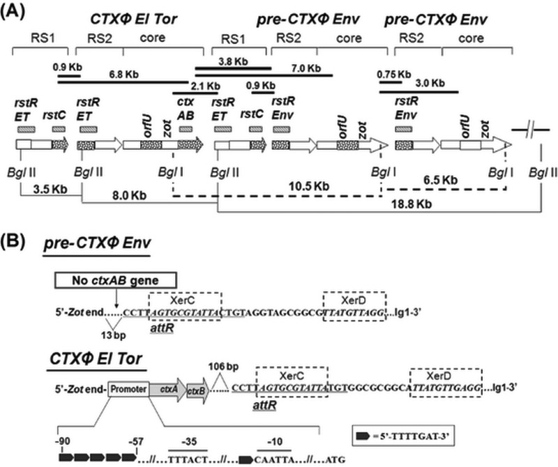 FIG 3