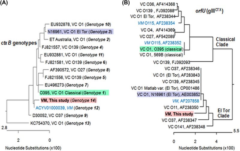 FIG 2