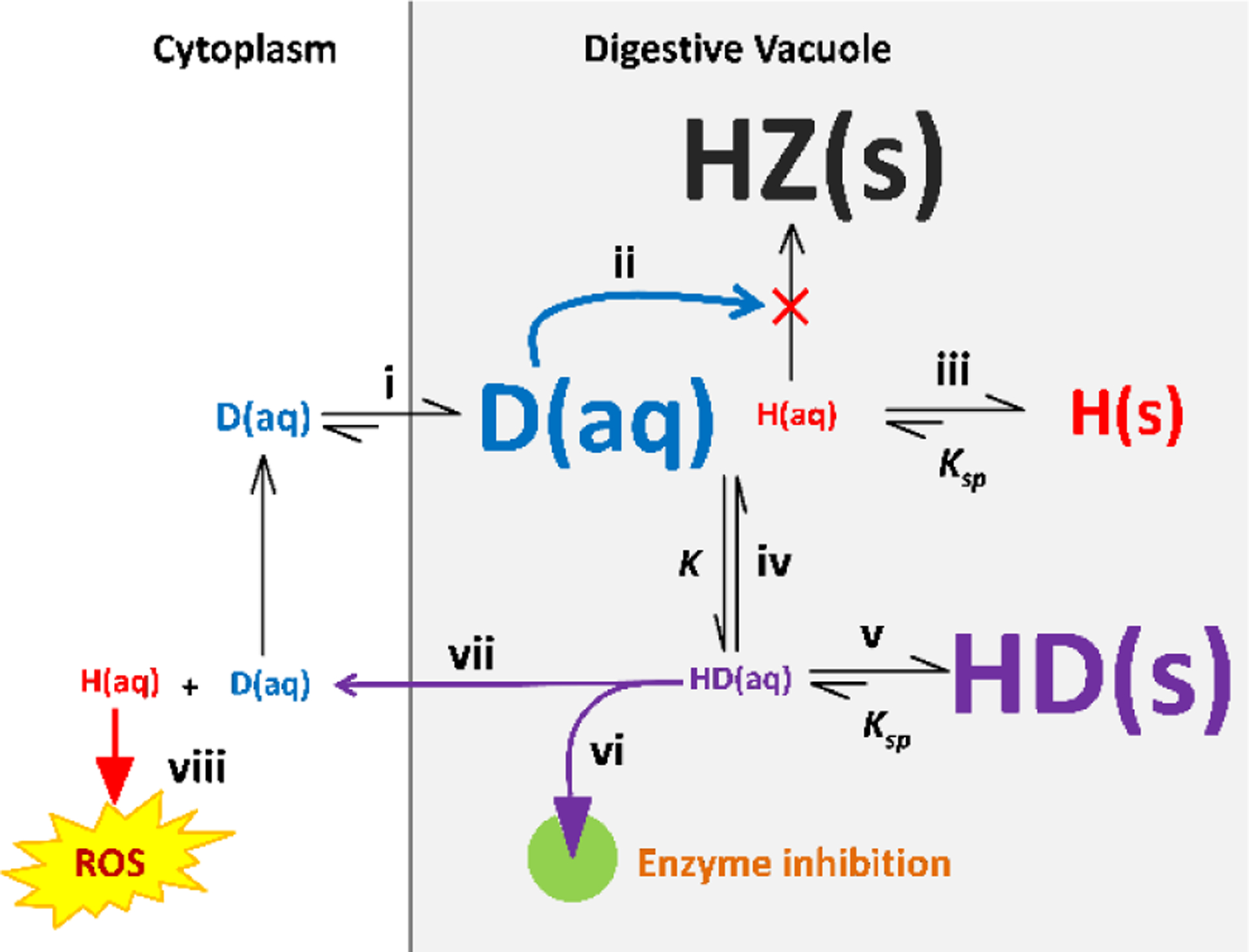 Figure 7.