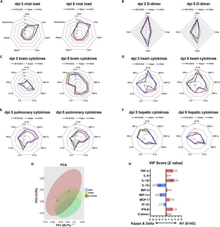 Figure 4