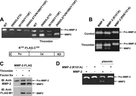 FIGURE 4.