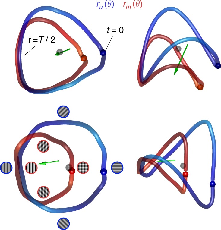 Fig. 4