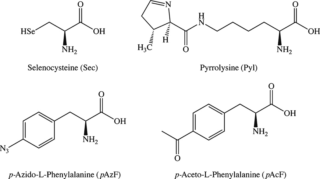 Fig. 8