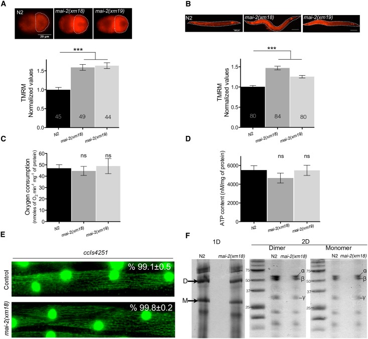 Fig 7