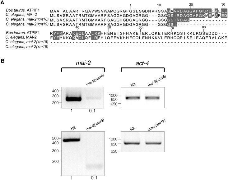 Fig 5