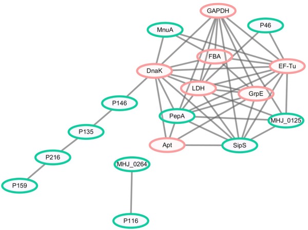 Figure 3