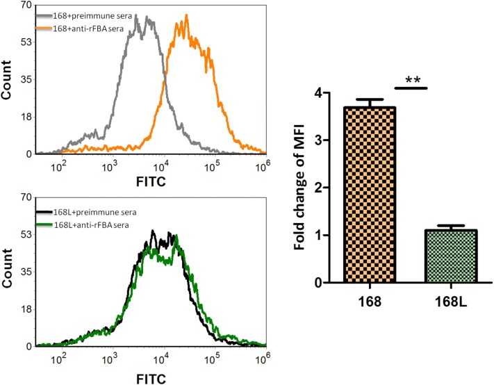 Figure 6