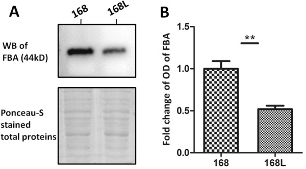 Figure 5