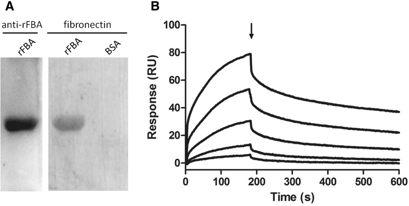 Figure 9