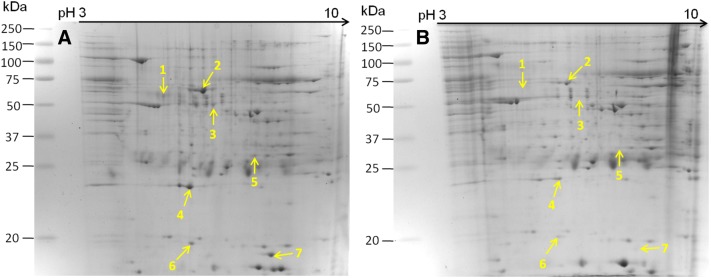 Figure 2