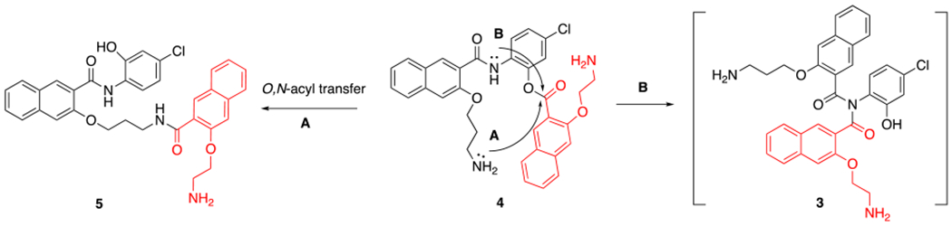 Scheme 2.