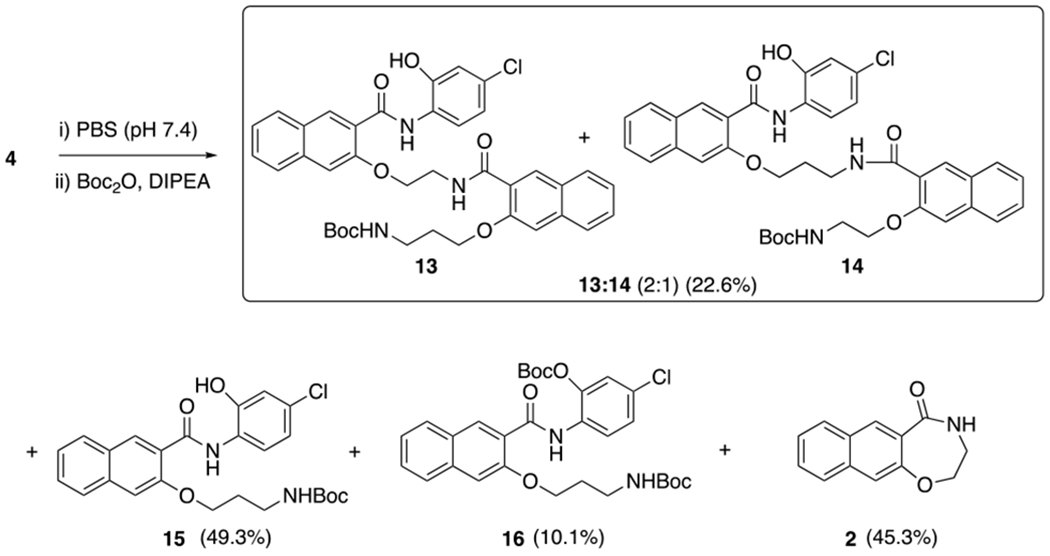 Scheme 4.