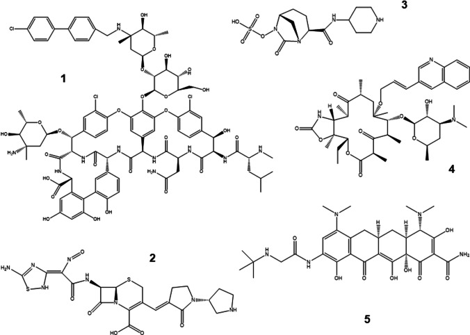 Fig. 2