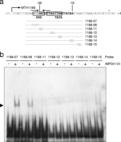 FIG. 6.