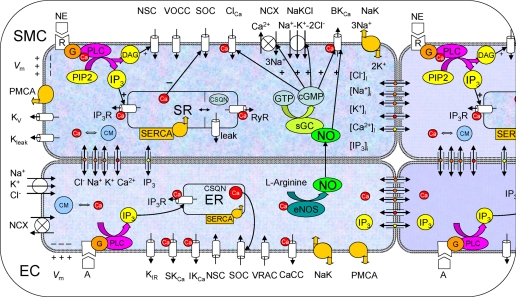 Fig. 1.