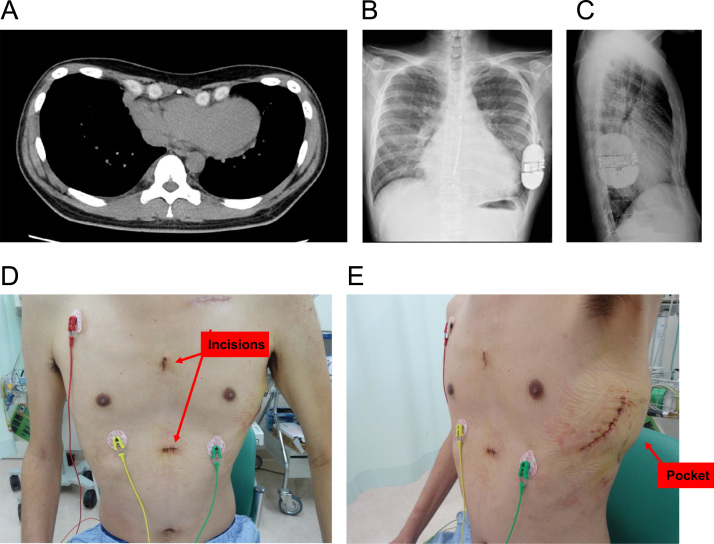 Fig. 1.