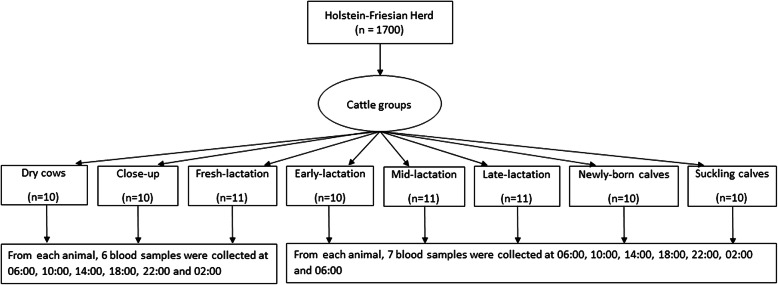 Fig. 10