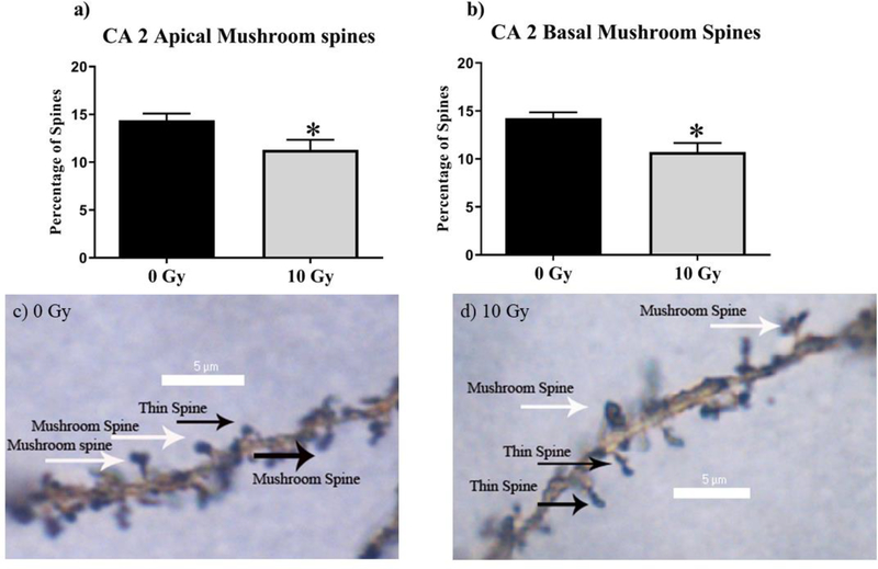 Figure 2: