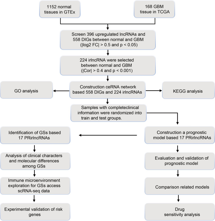 Figure 1