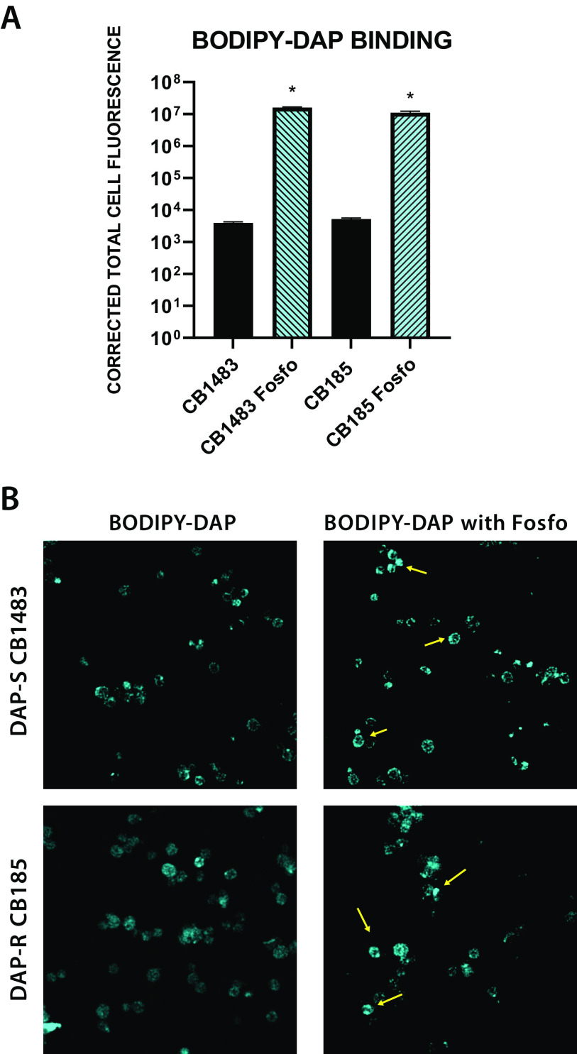 FIG 6