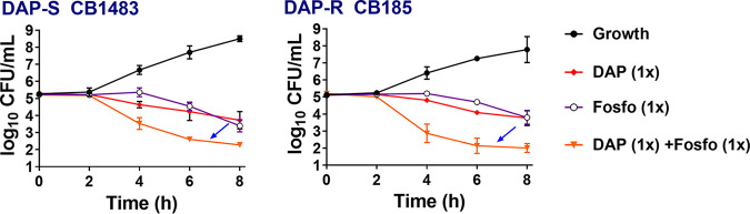 FIG 1