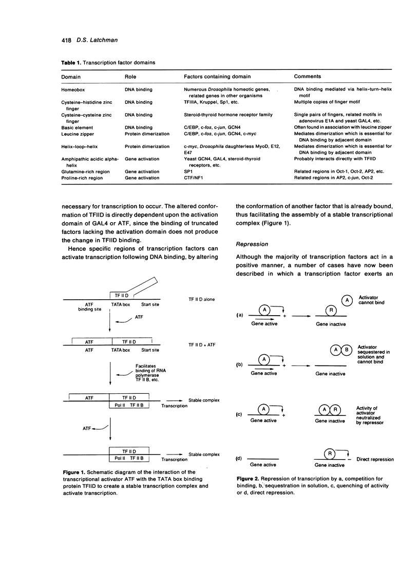Transcription Factors An Overview PMC