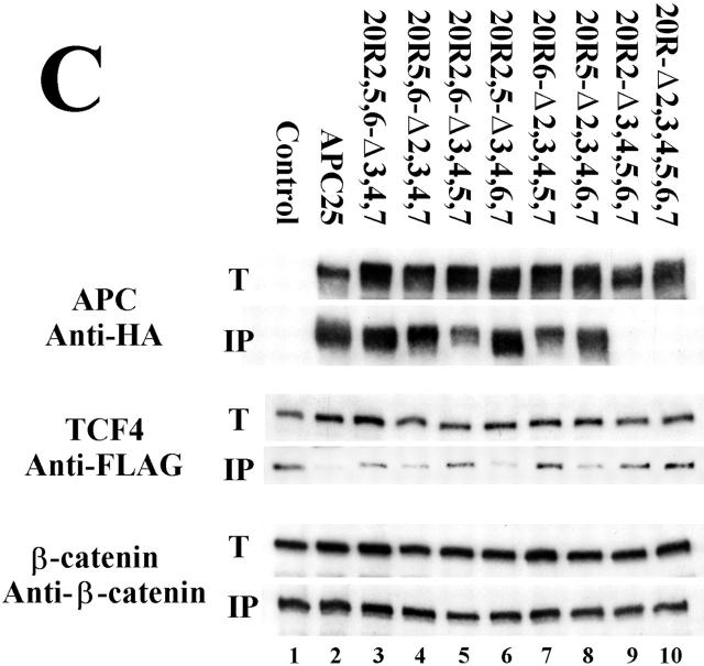 Figure 9.