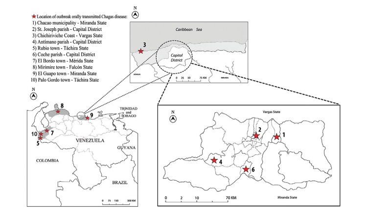 Fig. 2: