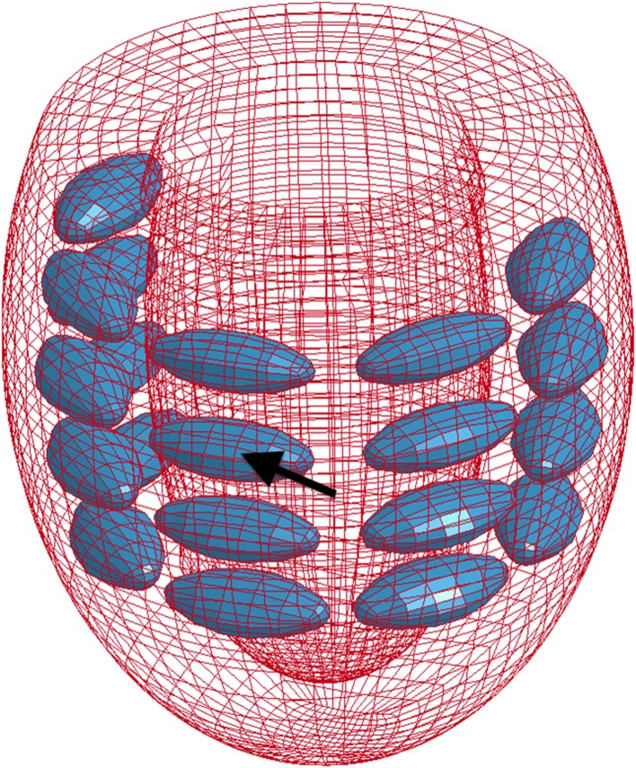 Fig. 5