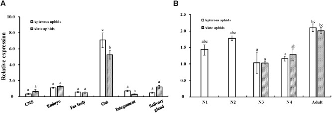 FIGURE 3