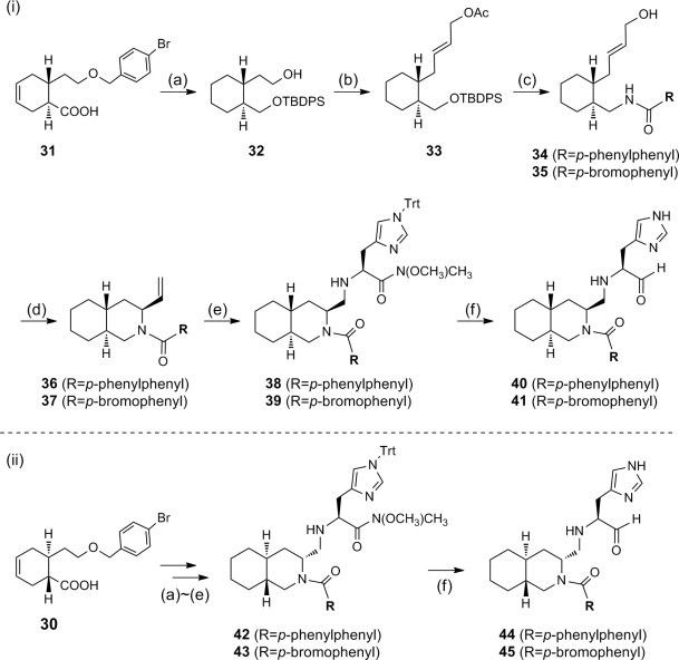 Scheme 5