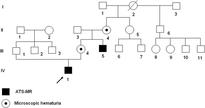 FIGURE 1