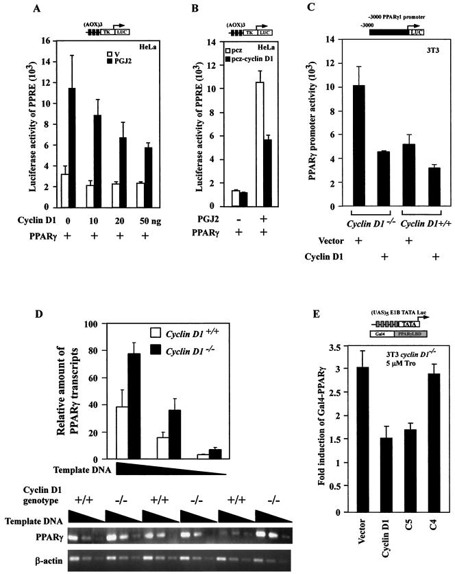 FIG.2.