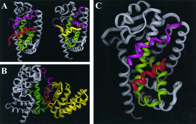 FIG. 8.