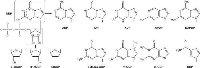 FIG 3