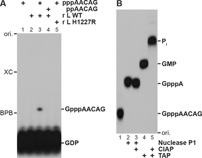 FIG 1