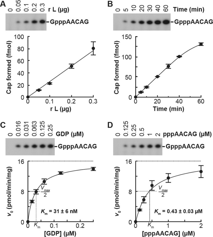 FIG 2