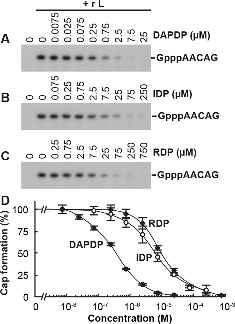 FIG 4