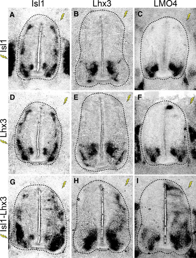 Figure 6.