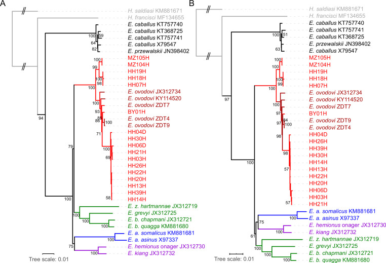 Figure 2—figure supplement 3.