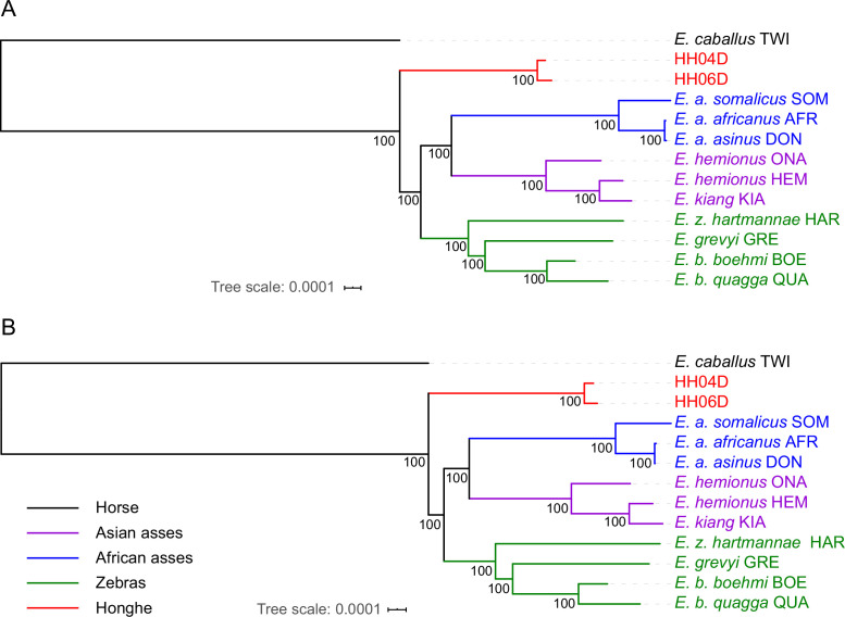 Figure 2—figure supplement 5.