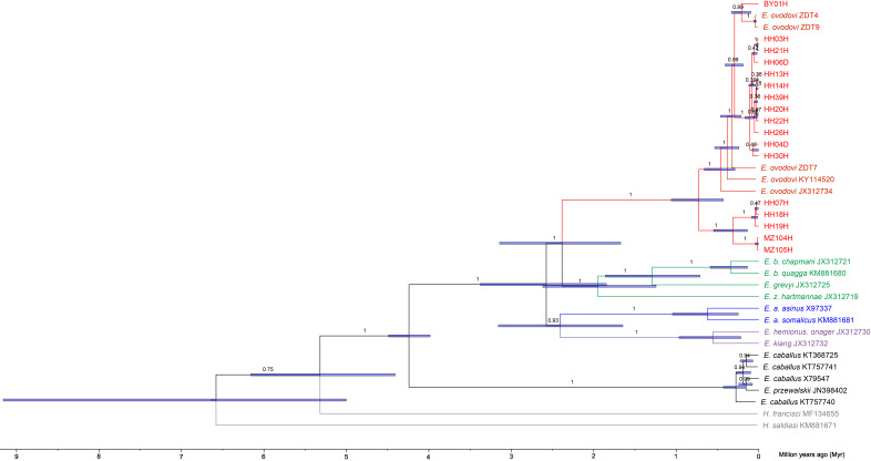 Figure 2—figure supplement 4.