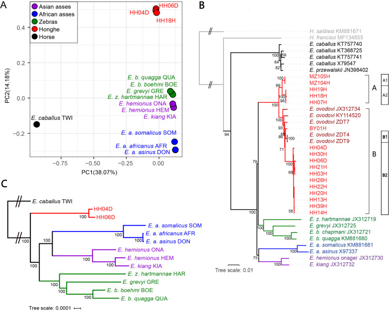 Figure 2.