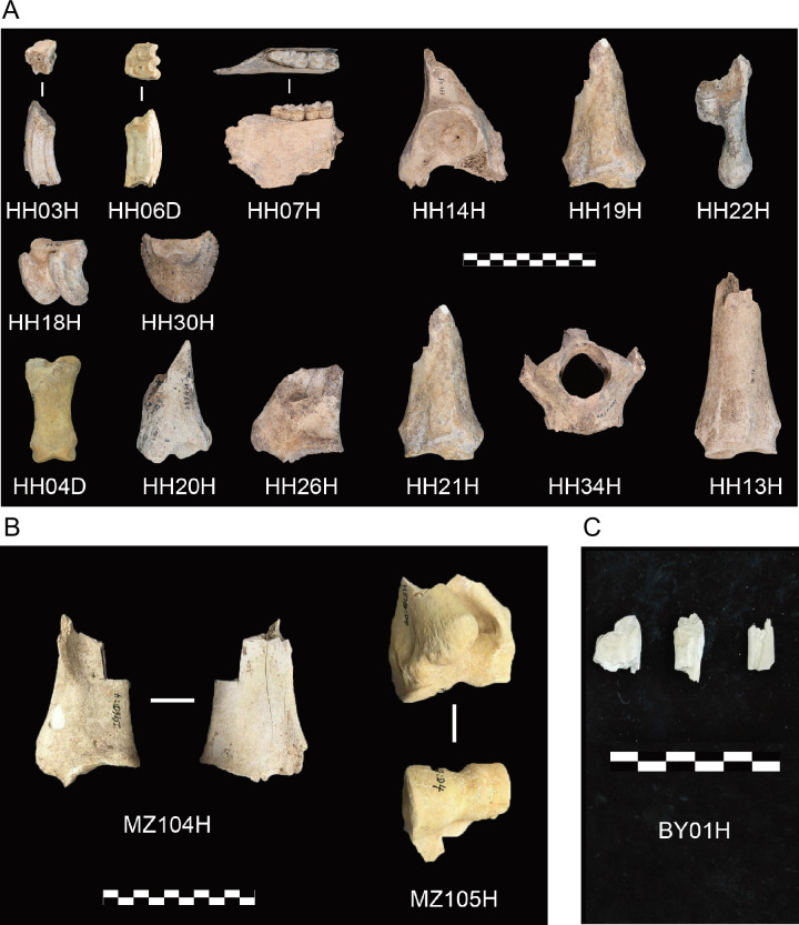 Figure 1—figure supplement 2.