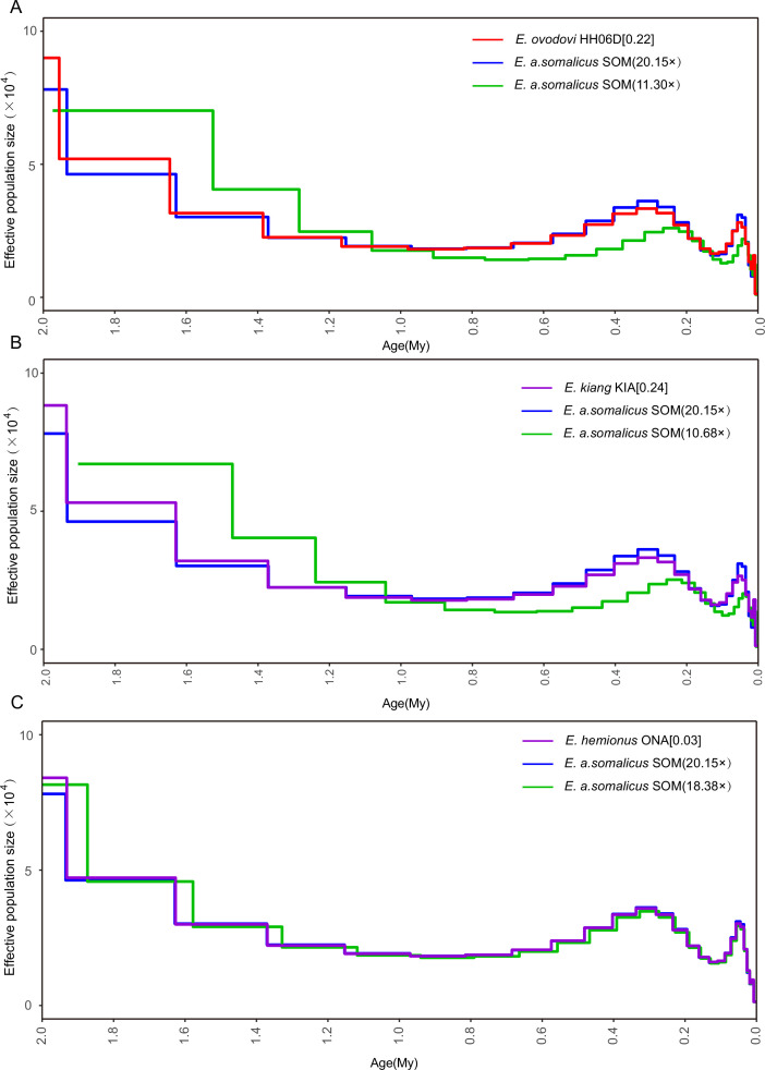 Figure 4—figure supplement 2.