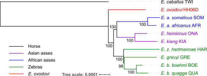 Figure 3—figure supplement 3.