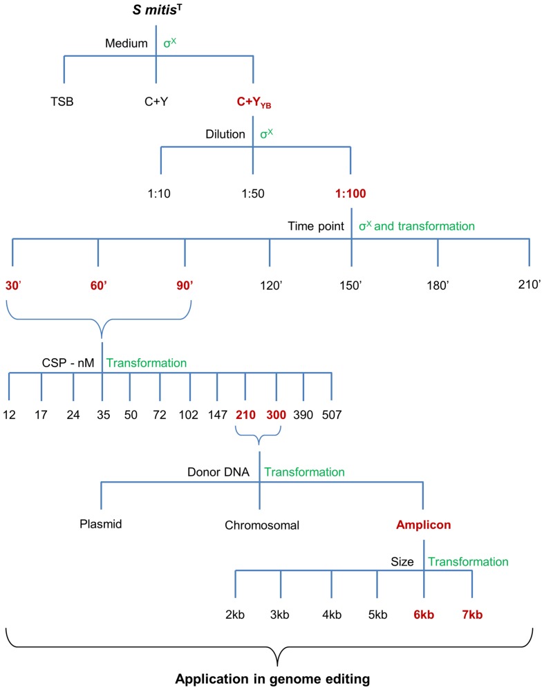 FIGURE 12