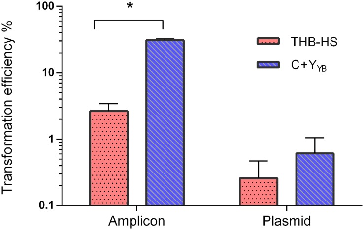 FIGURE 7